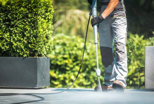 Trusted Vienna, GA Pressure Washing Services Experts