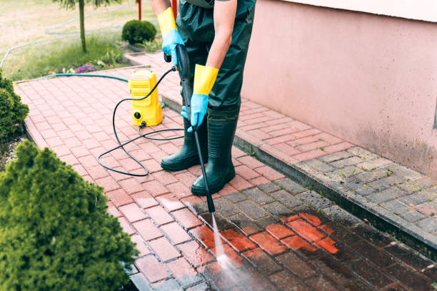 Best Soft Washing for Delicate Surfaces in Vienna, GA