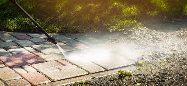 Best Vinyl Siding Pressure Washing in Vienna, GA